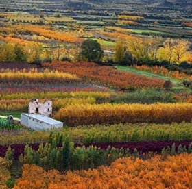 VALLE DEL JILOCA